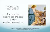 EADE – Programa II – Religião à Luz do Espiritismo Ensinos e Parábolas de Jesus MÓDULO IV ROTEIRO 3 A cura da sogra de Pedro e dos endemoniados.