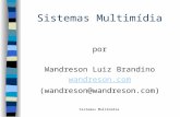 Sistemas Multimídia por Wandreson Luiz Brandino wandreson.com (wandreson@wandreson.com)