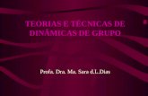 TEORIAS E TÉCNICAS DE DINÂMICAS DE GRUPO Profa. Dra. Ma. Sara d.L.Dias.