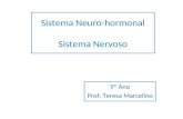Sistema Neuro-hormonal Sistema Nervoso 9º Ano Prof. Teresa Marcelino.