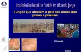 Fungos que afectam a pele nas areias das praias e piscinas Laura Rosado Micologia.