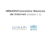 HINARI/Conceitos Básicos de Internet (módulo 1.1).