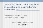Uma abordagem computacional para estudo de polimorfismos de base única. Orientando: Miguel Galves Orientador: Zanoni Dias Instituto de Computação UNICAMP.