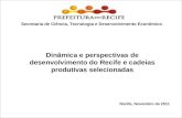 Estudo Prospectivo Inovações Tecnológicas e Cadeias Produtivas Selecionadas Recife, Novembro de 2011 Dinâmica e perspectivas de desenvolvimento do Recife.