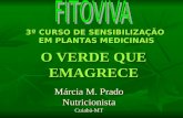 O VERDE QUE EMAGRECE Márcia M. Prado Nutricionista Cuiabá-MT 3º CURSO DE SENSIBILIZAÇÃO EM PLANTAS MEDICINAIS EM PLANTAS MEDICINAIS.