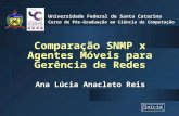 Comparação SNMP x Agentes Móveis para Gerência de Redes Ana Lúcia Anacleto Reis Universidade Federal de Santa Catarina Curso de Pós-Graduação em Ciência.