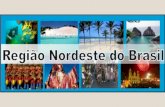 REGIÃO NORDESTE - Compreende a atual região Nordeste, incluindo o norte de Minas Gerais e excluindo o oeste do Maranhão. BAHIA SERGIPE ALAGOAS PERNAMBUCO.