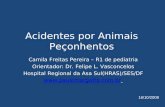 Acidentes por Animais Peçonhentos Camila Freitas Pereira – R1 de pediatria Orientador: Dr. Felipe L. Vasconcelos Hospital Regional da Asa Sul(HRAS)/SES/DF.