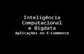 Inteligência Computacional e Bigdata Aplicações no E-Commerce.