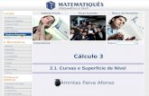 Ensino Superior 2.1. Curvas e Superfície de Nível Amintas Paiva Afonso Cálculo 3.
