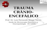 TRAUMA CRÂNIO- ENCEFÁLICO Prof. Dr. Luiz Fernando Bleggi Torres Prof. Dr. Luiz Fernando Bleggi Torres Seção de Microscopia Eletrônica e Neuropatologia.