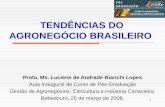 1 TENDÊNCIAS DO AGRONEGÓCIO BRASILEIRO Profa. Ms. Luciene de Andrade Bianchi Lopes Aula Inaugural do Curso de Pós-Graduação Gestão de Agronegócios: Citricultura.