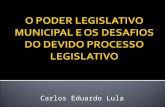 Carlos Eduardo Lula. O processo legislativo consiste num conjunto de normas que disciplinam os atos e procedimentos a serem obedecidos pelos órgãos.