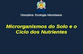 Microrganismos do Solo e o Ciclo dos Nutrientes Disciplina: Ecologia Microbiana 1.