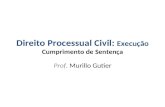 Direito Processual Civil: Execução Cumprimento de Sentença Prof. Murillo Gutier.