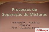 TERCEIRÃO – COLÉGIO GONZAGA Prof. Juliana Braun. Análise Imediata Conjunto de Processos físicos utilizados para separar cada uma das substâncias que compõe.