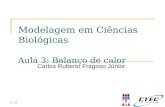 11:11 Modelagem em Ciências Biológicas Aula 3: Balanço de calor Carlos Ruberto Fragoso Júnior.