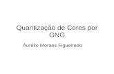 Quantização de Cores por GNG Aurélio Moraes Figueiredo.