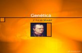 Genética 1º Lei de Mendel. Quem foi Mendel O monge Gregor Mendel (1822 – 1884) realizou experimentações com ervilhas cultivadas em seu jardim, no mosteiro.