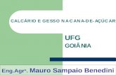 Eng.Agr o. Mauro Sampaio Benedini. FÓRMULAS MAIS UTILIZADAS mmol c /dm 3 Método da Saturação por bases (V%) NC (ton/ha) = (60 – V%) x CTC PRNT x 10.