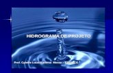 HIDROGRAMA DE PROJETO Prof. Cybelle Luiza Barbosa Musse â€“ ENG/UCG