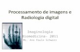 Imaginologia Biomedicina- 2011 Ms. Ana Paula Schwarz.