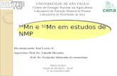 54 Mn e 52 Mn em estudos de NMP Pós-doutorando: José Lavres Jr. Supervisor: Prof. Dr. Takashi Muraoka Prof. Dr. Eurípedes Malavolta (In memoriam) PIRACICABA.