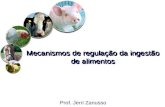 Mecanismos de regulação da ingestão de alimentos Prof. Jerri Zanusso.
