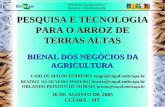 BIENAL DOS NEGÓCIOS DA AGRICULTURA PESQUISA E TECNOLOGIA PARA O ARROZ DE TERRAS ALTAS 26 DE AGOSTO DE 2005 CUIABÁ - MT CARLOS MAGRI FERREIRA magri@cnpaf.embrapa.br.