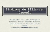 Síndrome de Ellis-van Creveld Orientador: Dr. Paulo Margotto Interna: Raquel Barreto Alencar Escola Superior de Ciências da Saúde Internato em Pediatria.
