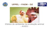 Efeitos do ambiente na produção animal - AVES - UFPEL – FAEM – DZ.
