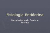 Fisiologia Endócrina Metabolismo do Cálcio e Fosfato.