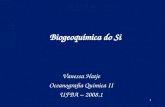 1 Biogeoquímica do Si Vanessa Hatje Oceanografia Química II UFBA – 2008.1.