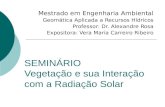 SEMINÁRIO Vegetação e sua Interação com a Radiação Solar Mestrado em Engenharia Ambiental Geomática Aplicada a Recursos Hídricos Professor: Dr. Alexandre.