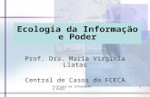 Ecologia da Informação e Poder1 Prof. Dra. Maria Virginia Llatas Central de Casos da FCECA.