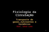 Fisiologia da Circulação Transporte de gases,nutrientes e hormônios Prof. César Lima 1.