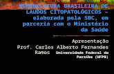 NOMENCLATURA BRASILEIRA DE LAUDOS CITOPATOLÓGICOS – elaborada pela SBC, em parceria com o Ministério da Saúde Apresentação Prof. Carlos Alberto Fernandes.