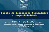 Gestão de Capacidade Tecnológica e Competitividade Paulo N. Figueiredo Professor Titular da Fundação Getulio Vargas (FGV) Pesquisador-Chefe, Programa de.
