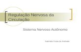 Regulação Nervosa da Circulação Sistema Nervoso Autônomo Gabriela Costa de Andrade.
