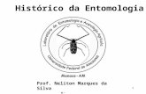 Prof. Neliton Marques da Silva e-mail:nmerinato@gmail.com 1 Histórico da Entomologia.