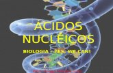 ÁCIDOS NUCLÉICOS BIOLOGIA – YES, WE CAN! Prof. Thiago Moraes Lima.
