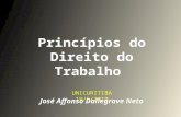 Princípios do Direito do Trabalho UNICURITIBA 19/5/2010 José Affonso Dallegrave Neto.