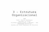 3 – Estrutura Organizacional O&M Prof. Percio Rodrigues Baseado no Livro Sistemas Organizações e Métodos – Uma Abordagem Gerencial Djalma de Pinho Rebouças.