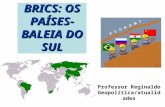 BRICS: OS PAÍSES- BALEIA DO SUL Professor Reginaldo Geopolítica/atualidades.