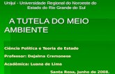 Ciência Política e Teoria do Estado Professor: Dejalma Cremonese Acadêmica: Luana de Lima Santa Rosa, junho de 2008. Unijuí - Universidade Regional do.