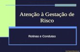 Atenção à Gestação de Risco Rotinas e Condutas Prof. Claudio Alfredo Konrat.