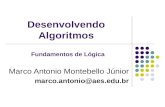Desenvolvendo Algoritmos Marco Antonio Montebello Júnior marco.antonio@aes.edu.br Fundamentos de Lógica.