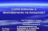 Rio Branco Julho 2008 O DESMATAMENTO DA AMAZÔNIA E A QUESTÃO AGRÁRIA BRASILEIRA Como enfrentar o desmatamento na Amazonia? Prof. Dr. Bastiaan P. Reydon.