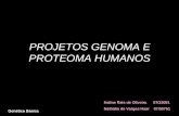 PROJETOS GENOMA E PROTEOMA HUMANOS Haline Reis de Oliveira 07/33091 Nathália de Vargas Haar 07/50751 Genética Básica.