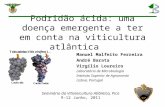 Podridão ácida: uma doença emergente a ter em conta na viticultura atlântica Manuel Malfeito Ferreira André Barata Virgílio Loureiro Laboratório de Microbiologia.
